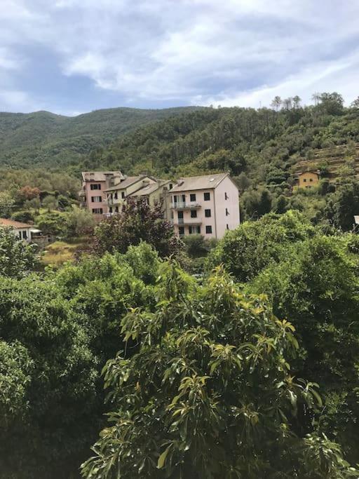 شقة La Casa Novella, A 450 Metri Dal Mare مونيلّي المظهر الخارجي الصورة
