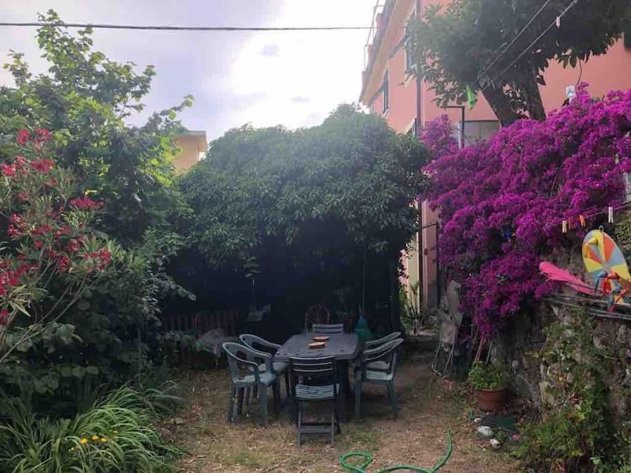 شقة La Casa Novella, A 450 Metri Dal Mare مونيلّي المظهر الخارجي الصورة